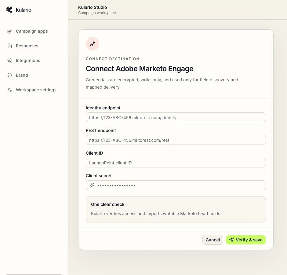 Kulario Marketo connection form showing the Identity endpoint, REST endpoint, Client ID, and Client secret fields